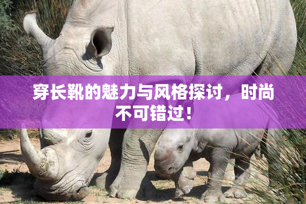 穿长靴的魅力与风格探讨，时尚不可错过！