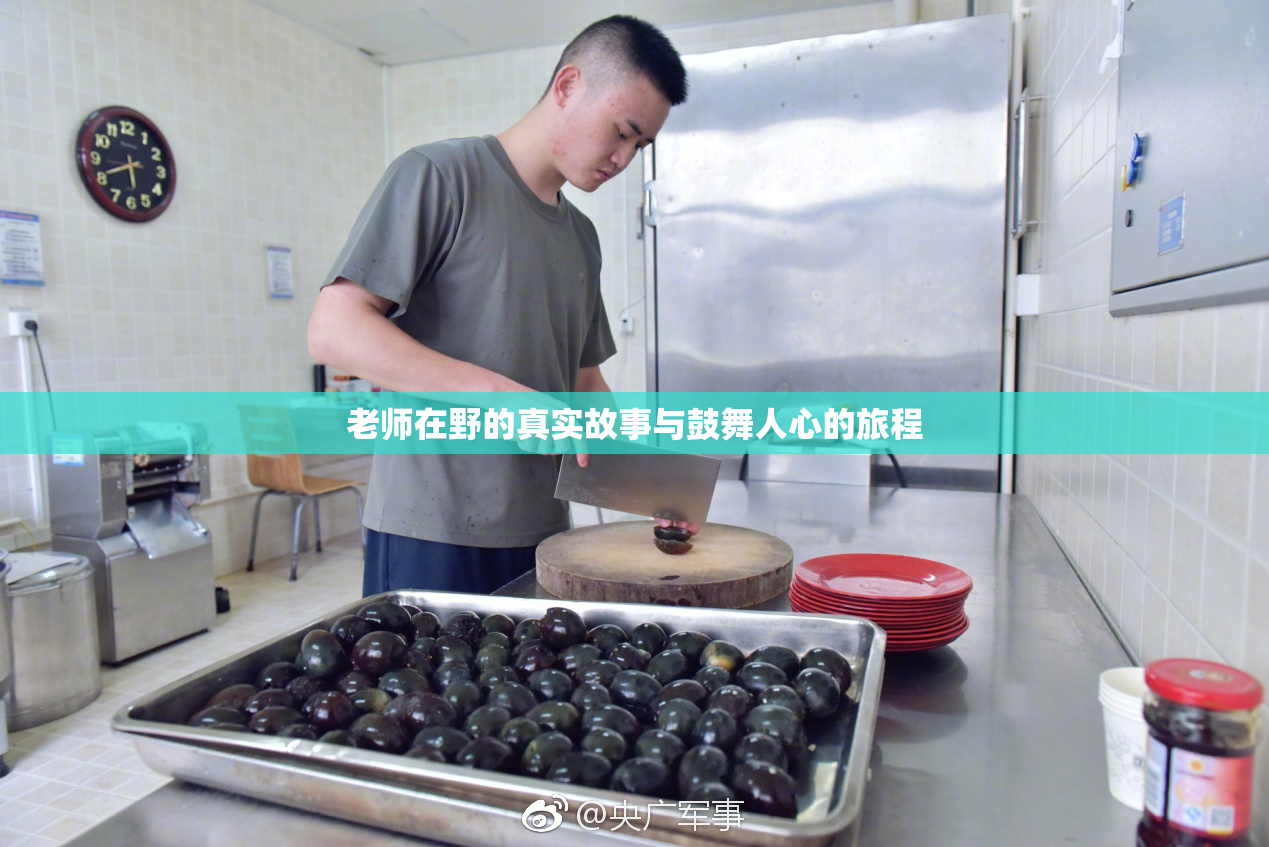 老师在野的真实故事与鼓舞人心的旅程