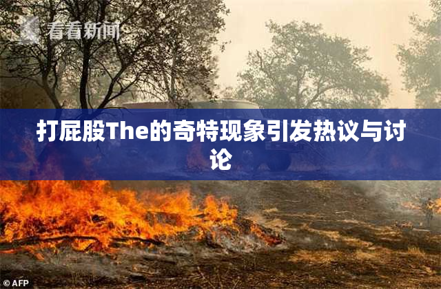 打屁股The的奇特现象引发热议与讨论