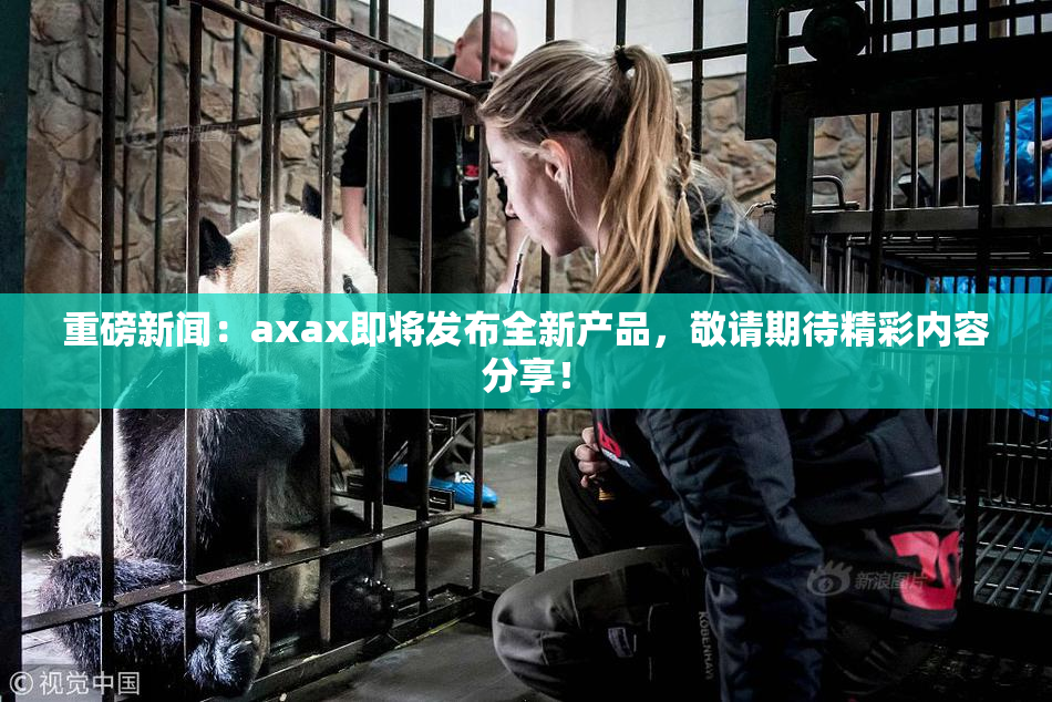 重磅新闻：axax即将发布全新产品，敬请期待精彩内容分享！