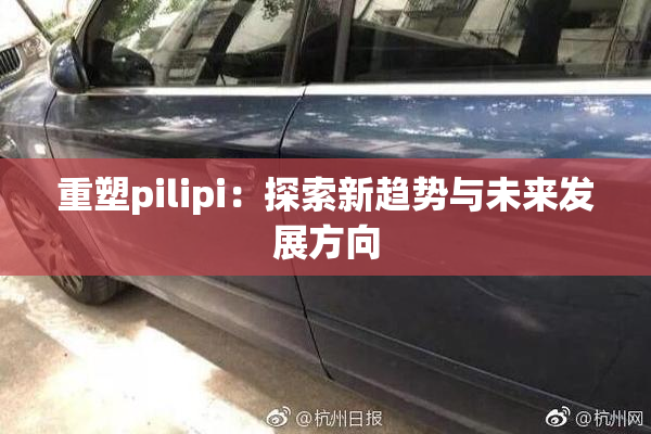 重塑pilipi：探索新趋势与未来发展方向