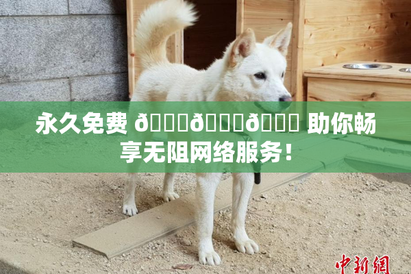 永久免费 🔞🔞🔞 助你畅享无阻网络服务！