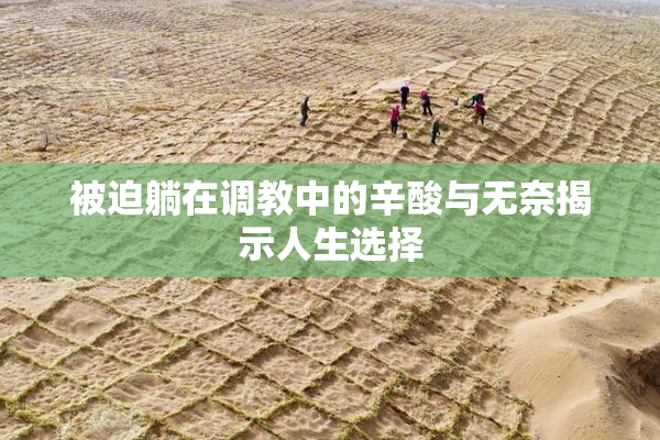 被迫躺在调教中的辛酸与无奈揭示人生选择
