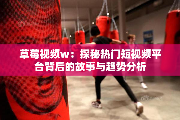 草莓视频w：探秘热门短视频平台背后的故事与趋势分析