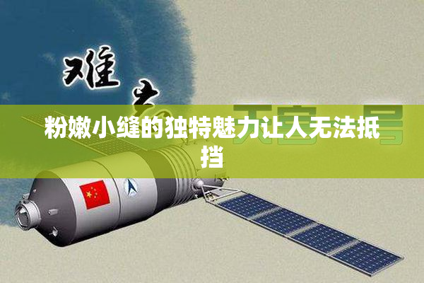粉嫩小缝的独特魅力让人无法抵挡