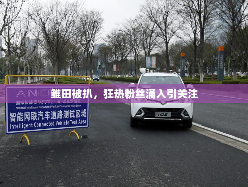 雏田被扒，狂热粉丝涌入引关注