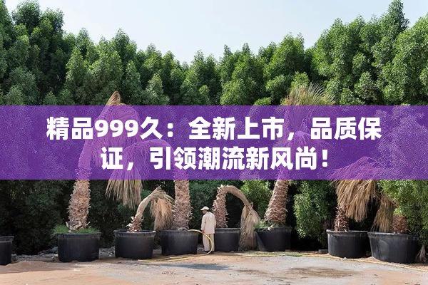 精品999久：全新上市，品质保证，引领潮流新风尚！