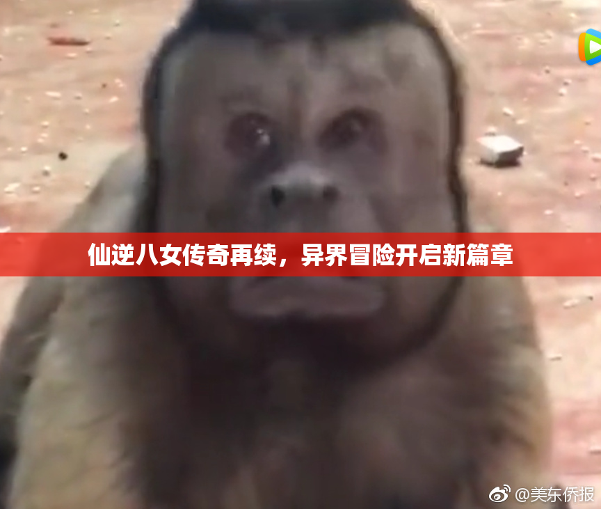 仙逆八女传奇再续，异界冒险开启新篇章