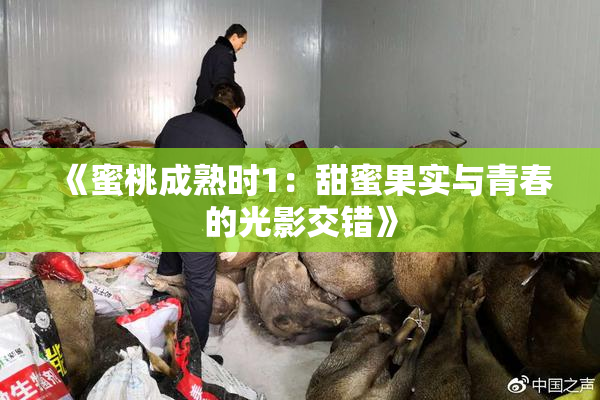 《蜜桃成熟时1：甜蜜果实与青春的光影交错》