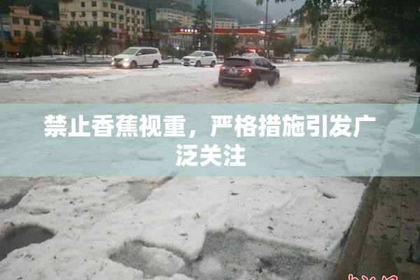 禁止香蕉视重，严格措施引发广泛关注