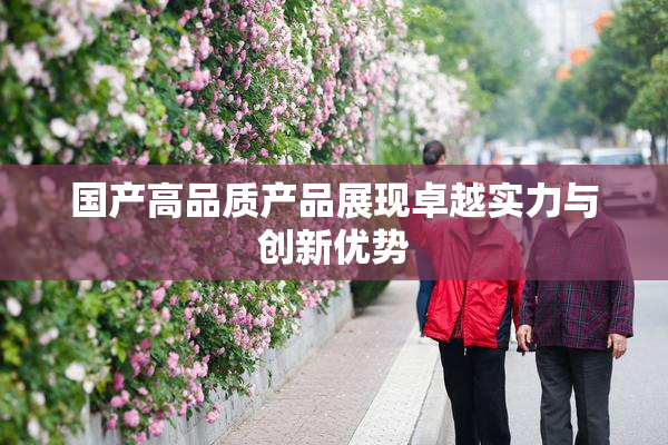 国产高品质产品展现卓越实力与创新优势