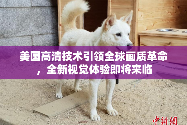 美国高清技术引领全球画质革命，全新视觉体验即将来临