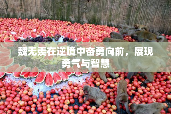 魏无羡在逆境中奋勇向前，展现勇气与智慧