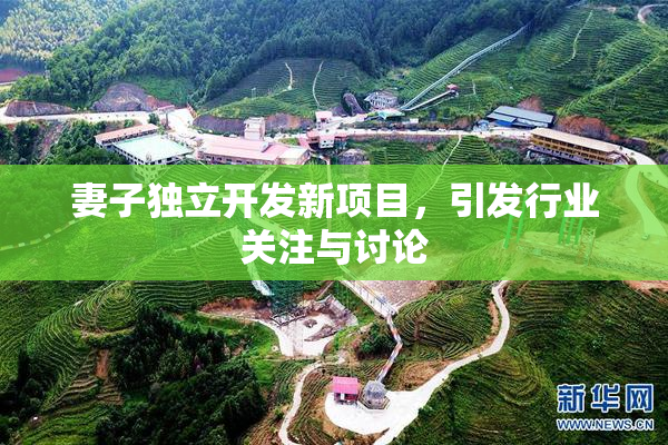 妻子独立开发新项目，引发行业关注与讨论