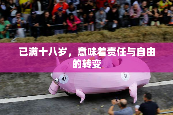 已满十八岁，意味着责任与自由的转变