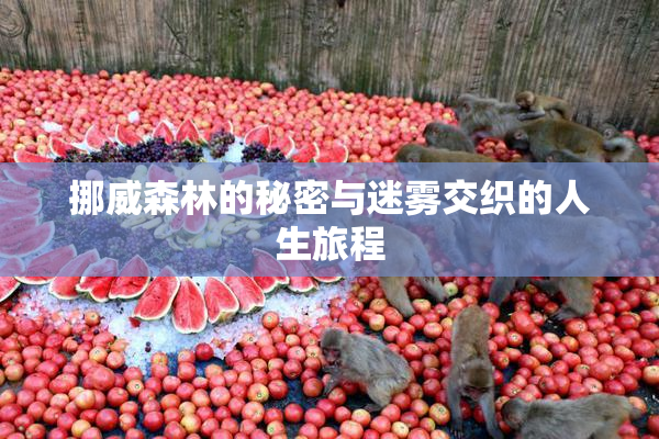 挪威森林的秘密与迷雾交织的人生旅程
