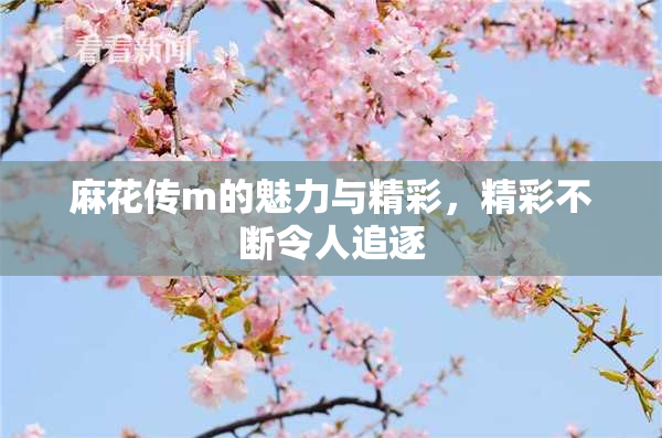 麻花传m的魅力与精彩，精彩不断令人追逐