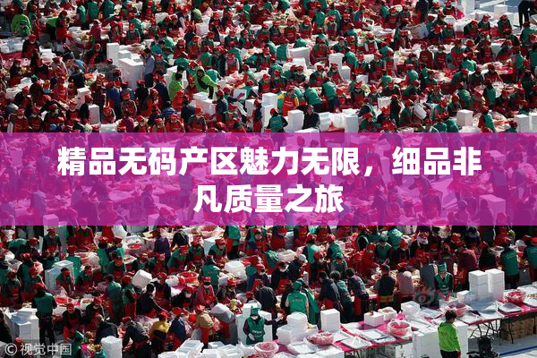 精品无码产区魅力无限，细品非凡质量之旅