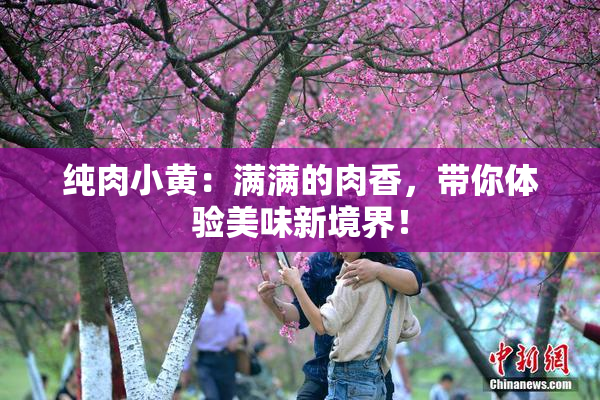 纯肉小黄：满满的肉香，带你体验美味新境界！