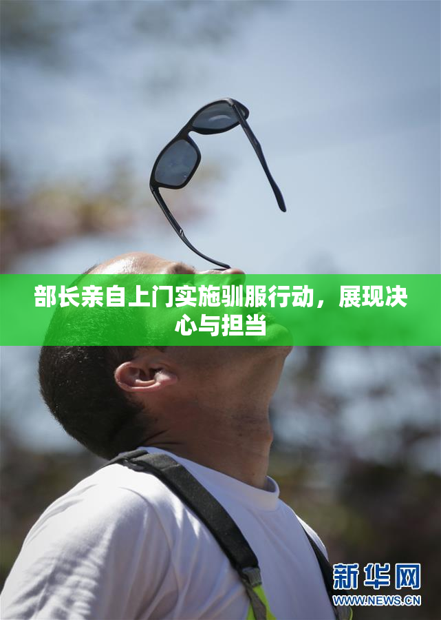 部长亲自上门实施驯服行动，展现决心与担当