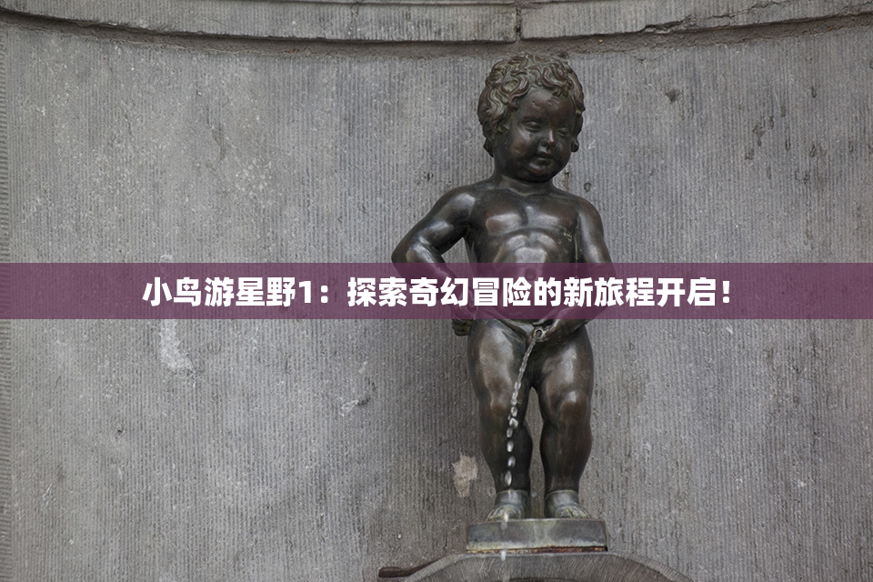 小鸟游星野1：探索奇幻冒险的新旅程开启！