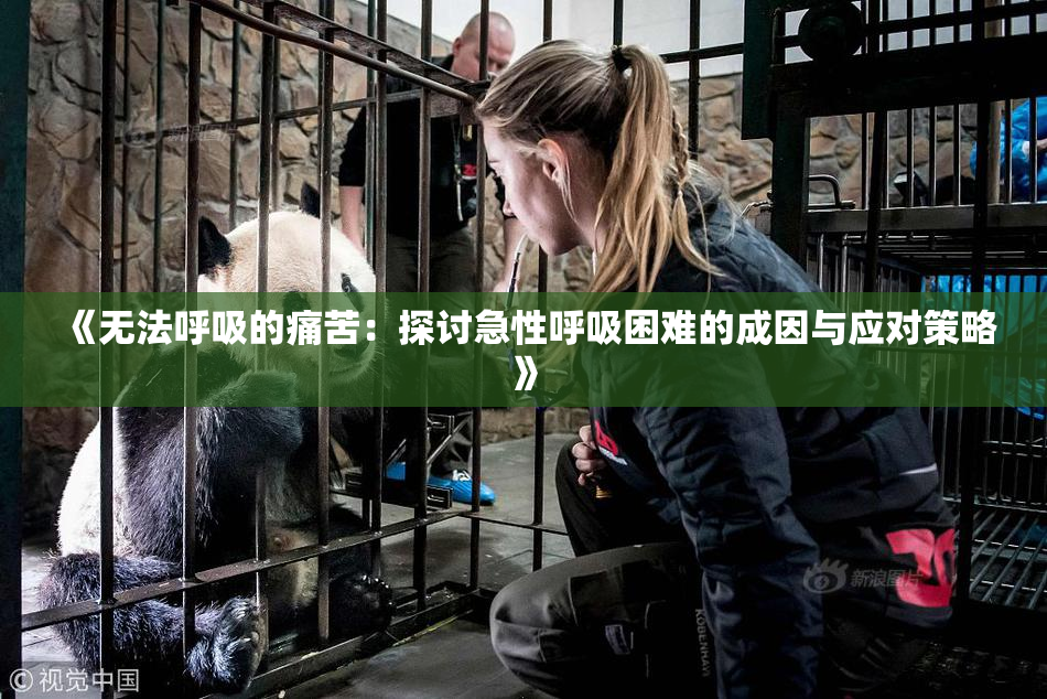 《无法呼吸的痛苦：探讨急性呼吸困难的成因与应对策略》