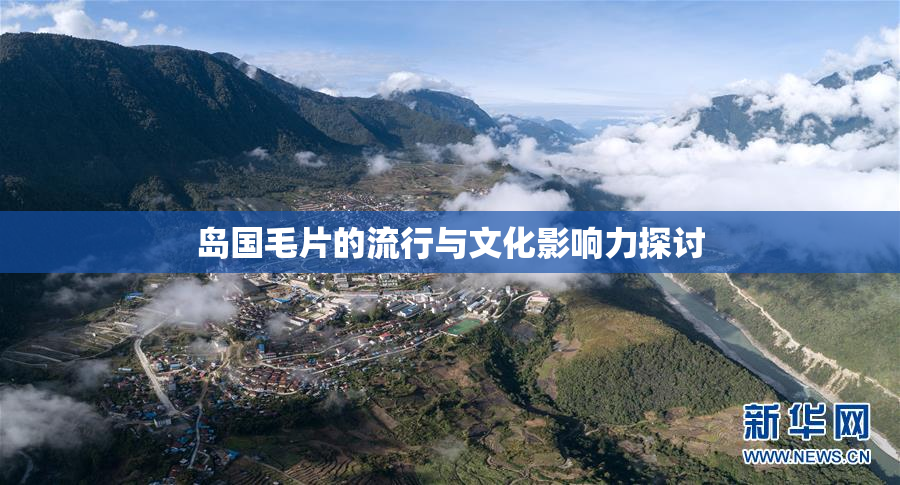 岛国毛片的流行与文化影响力探讨