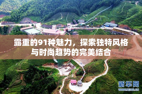露重的91种魅力，探索独特风格与时尚趋势的完美结合