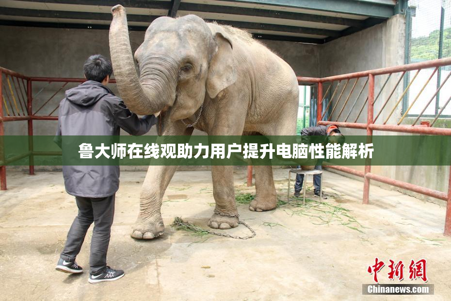鲁大师在线观助力用户提升电脑性能解析