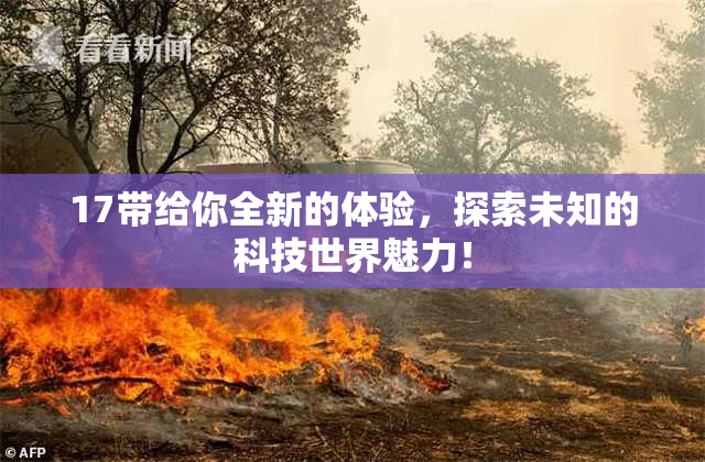 17带给你全新的体验，探索未知的科技世界魅力！