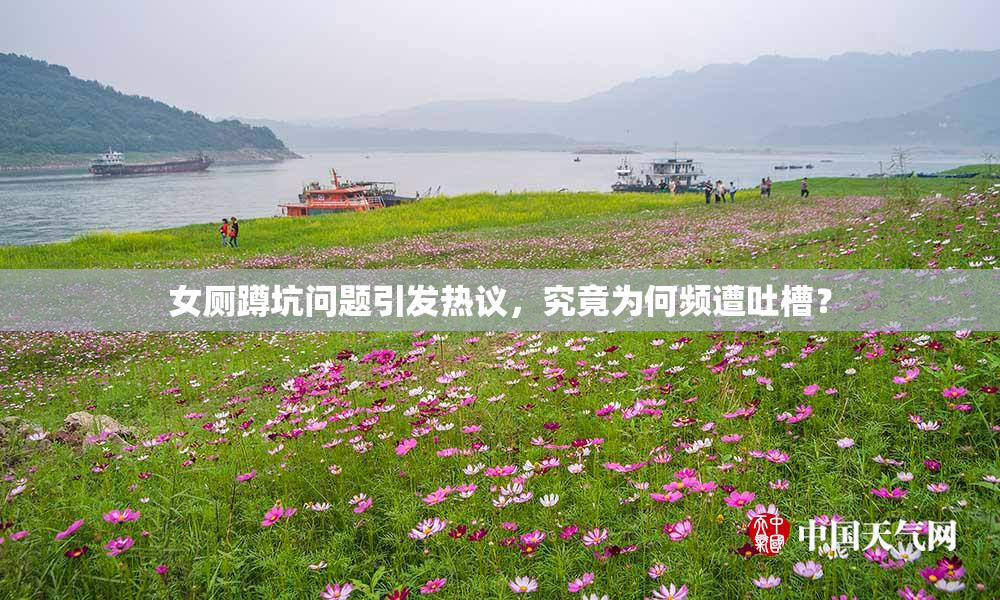 女厕蹲坑问题引发热议，究竟为何频遭吐槽？