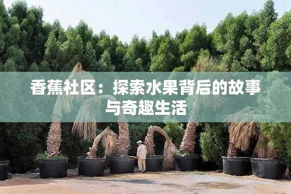 香蕉社区：探索水果背后的故事与奇趣生活