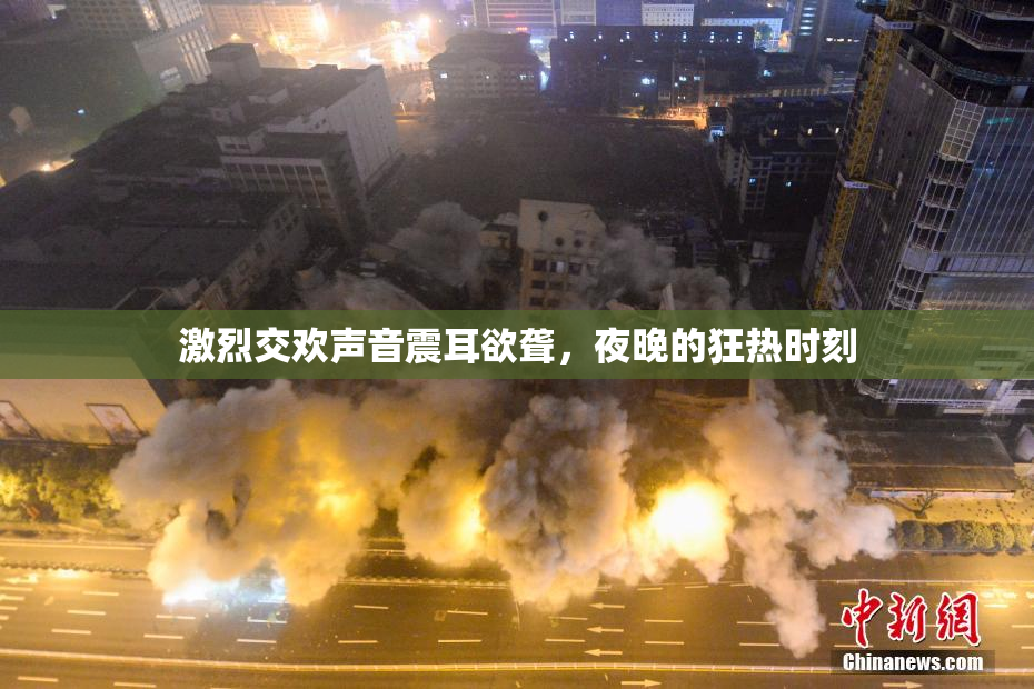 激烈交欢声音震耳欲聋，夜晚的狂热时刻