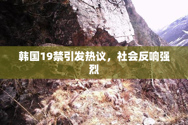 韩国19禁引发热议，社会反响强烈