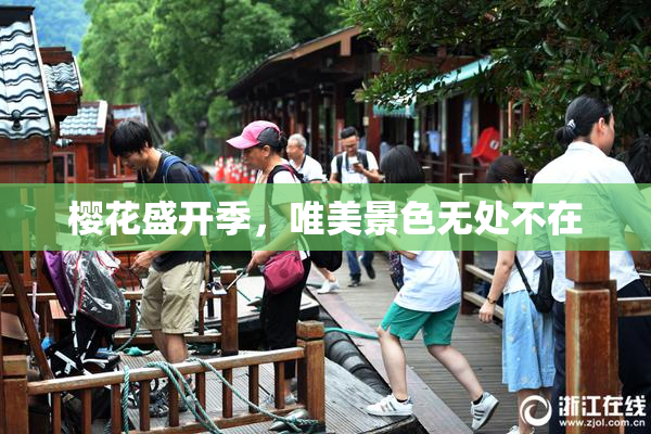樱花盛开季，唯美景色无处不在
