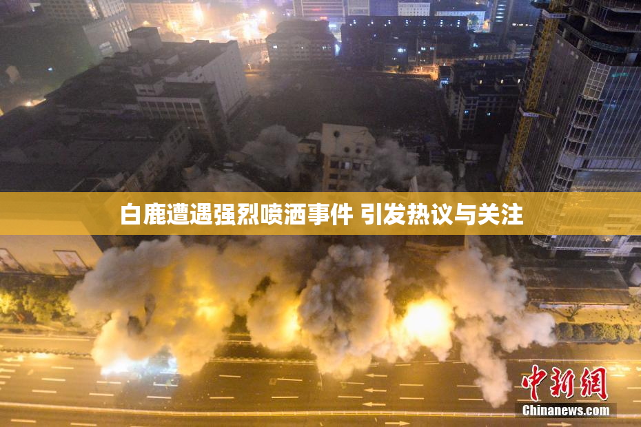 白鹿遭遇强烈喷洒事件 引发热议与关注