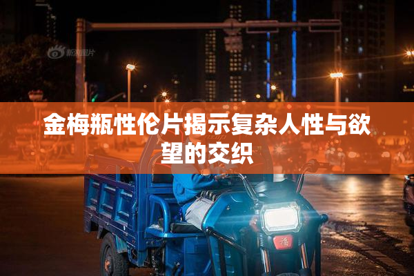金梅瓶性伦片揭示复杂人性与欲望的交织
