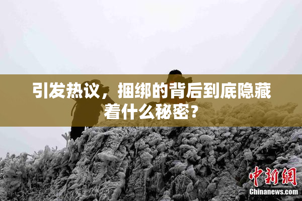 引发热议，捆绑的背后到底隐藏着什么秘密？