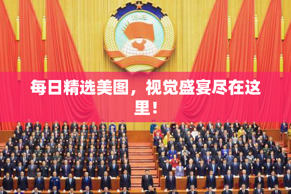 每日精选美图，视觉盛宴尽在这里！