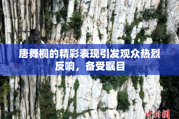 唐舞桐的精彩表现引发观众热烈反响，备受瞩目