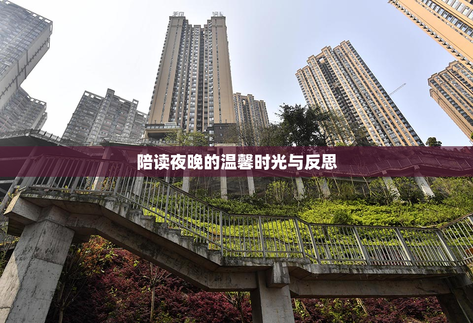 陪读夜晚的温馨时光与反思