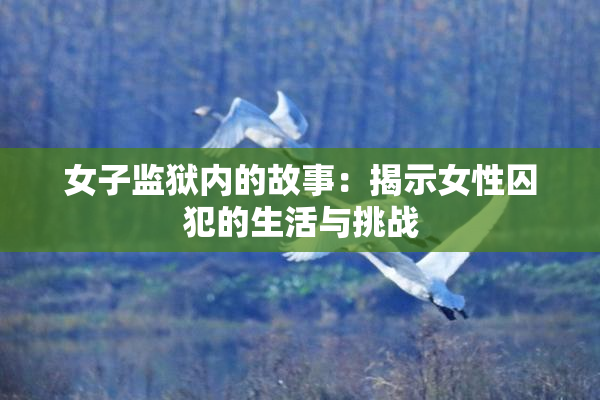 女子监狱内的故事：揭示女性囚犯的生活与挑战