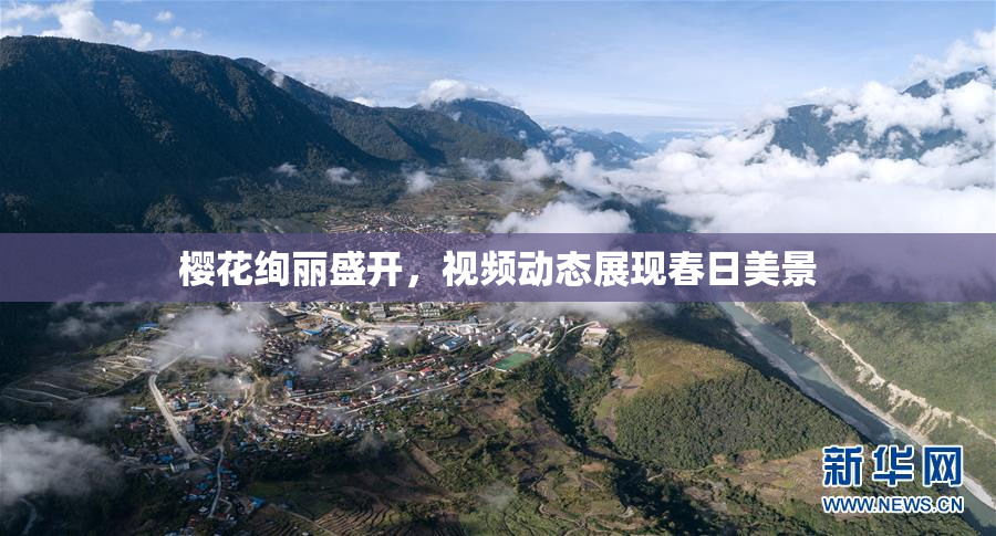 樱花绚丽盛开，视频动态展现春日美景