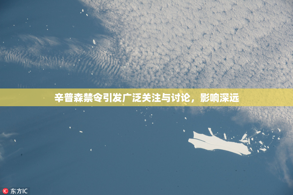辛普森禁令引发广泛关注与讨论，影响深远