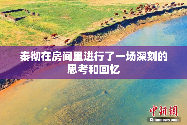 秦彻在房间里进行了一场深刻的思考和回忆