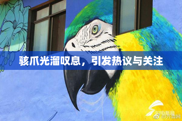 骇爪光溜叹息，引发热议与关注