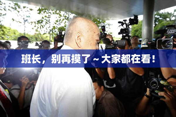 班长，别再摸了～大家都在看！