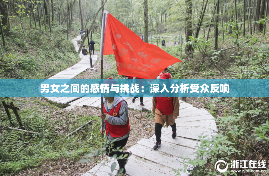 男女之间的感情与挑战：深入分析受众反响