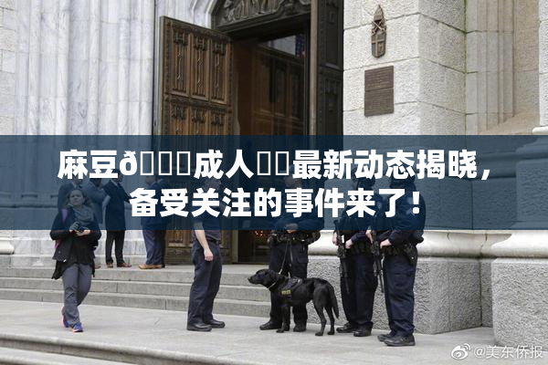 麻豆🔞成人❌‌最新动态揭晓，备受关注的事件来了！