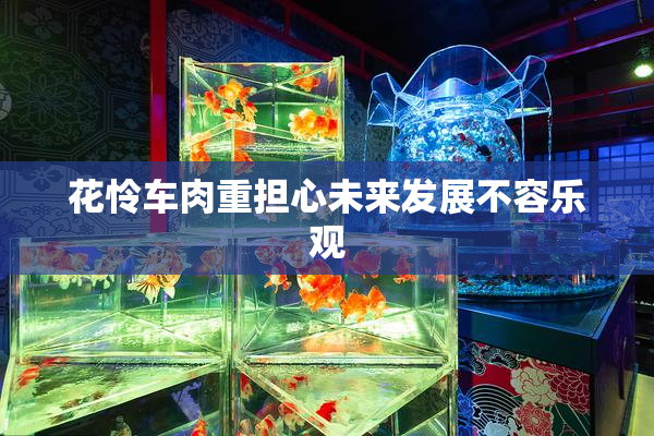 花怜车肉重担心未来发展不容乐观